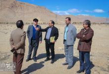 گزارش تصویری |  آیین غرس نهال و تجلیل از پرسنل زحمتکش فضای سبز و باغبانی دانشگاه صنعتی شاهرود 